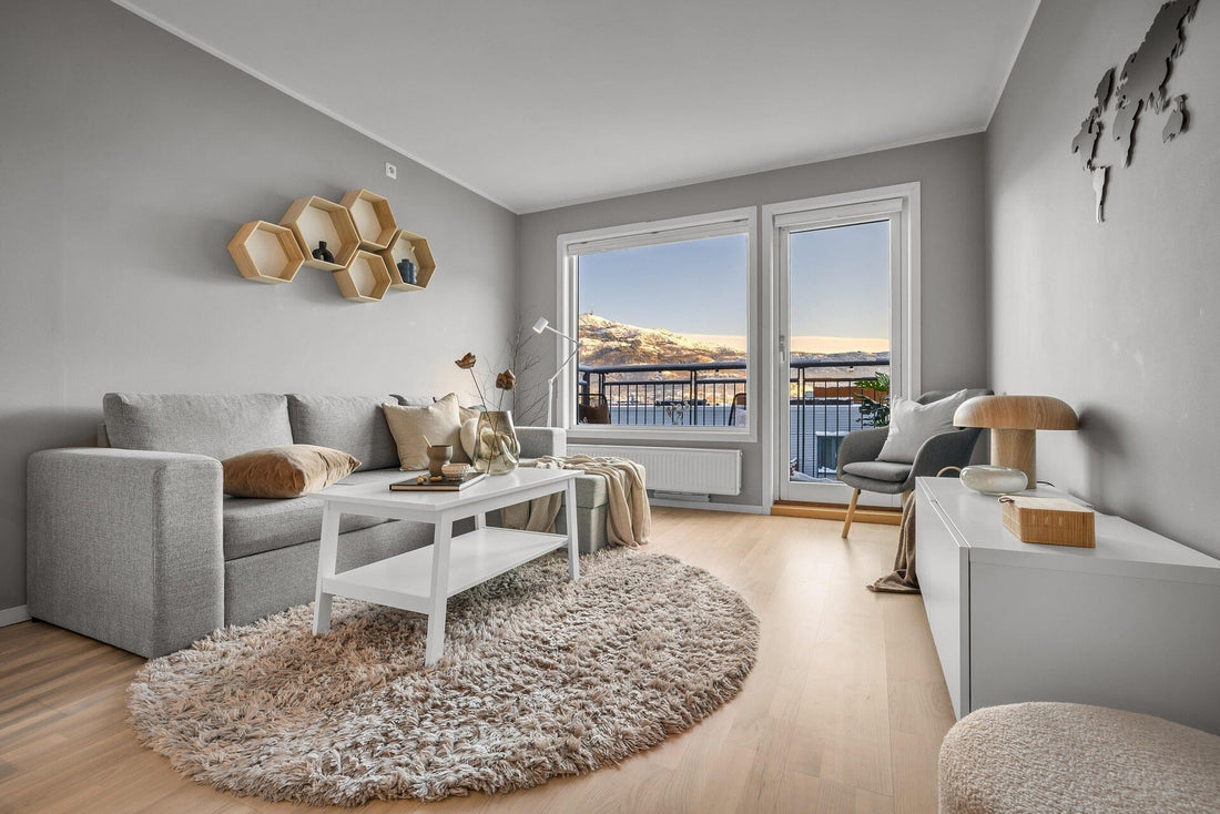 A small but open, spacious-feeling living room with minimalist home decor overlooking a winter mountain scene