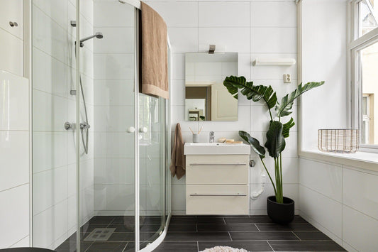 Simple bathroom upgrade with walk-in shower and plant decor