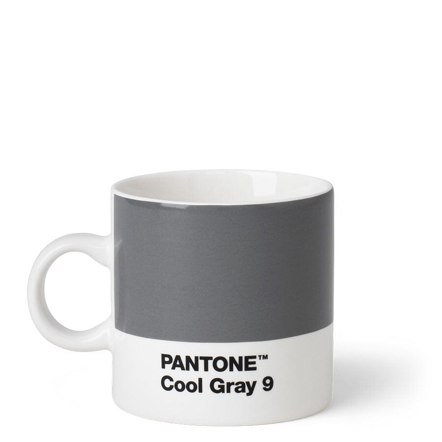 Pantone Espresso Cup in Cool Gray 9