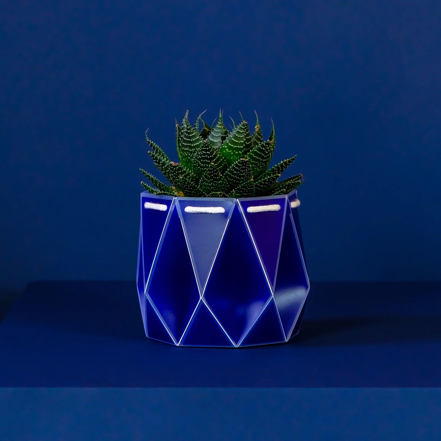 POTR Self-Watering 4.3" Diameter Pot In Navy Blue