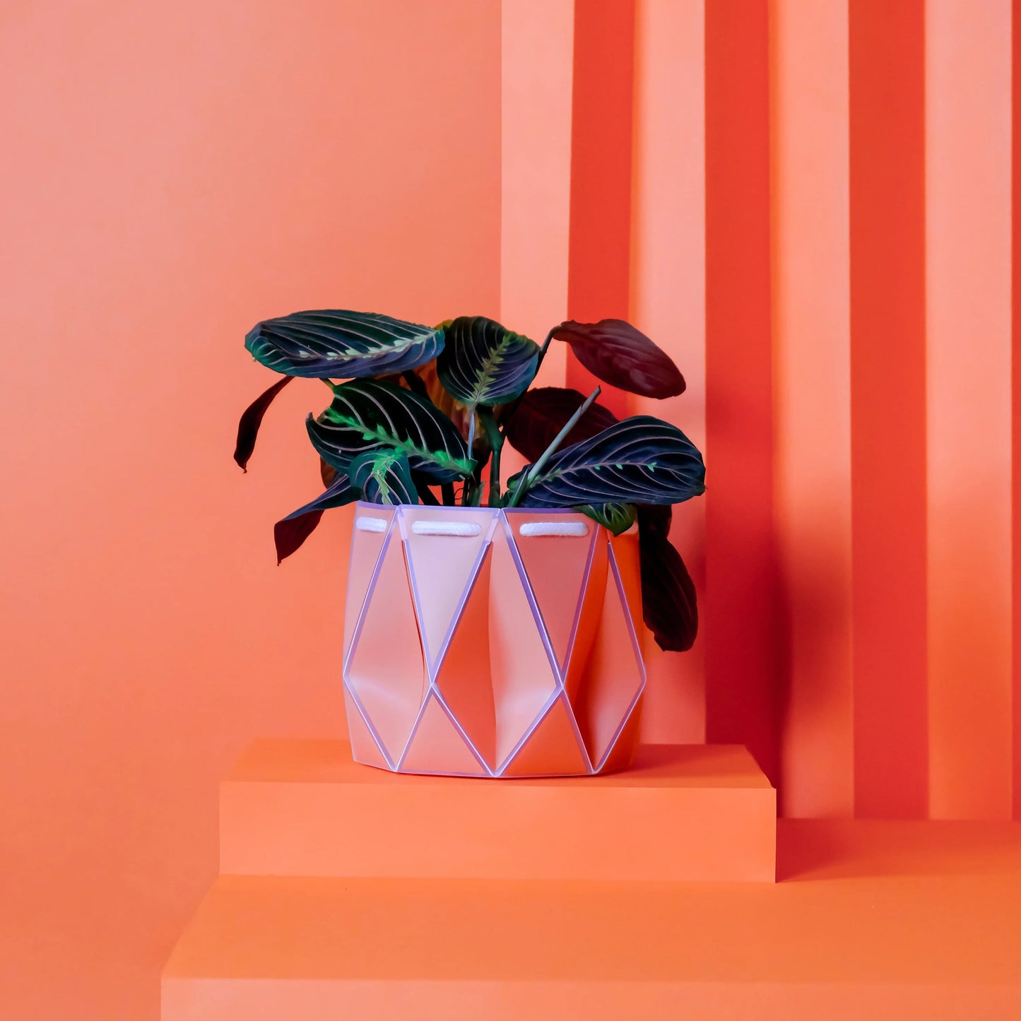 POTR Self-Watering 5.9" Diameter Pot