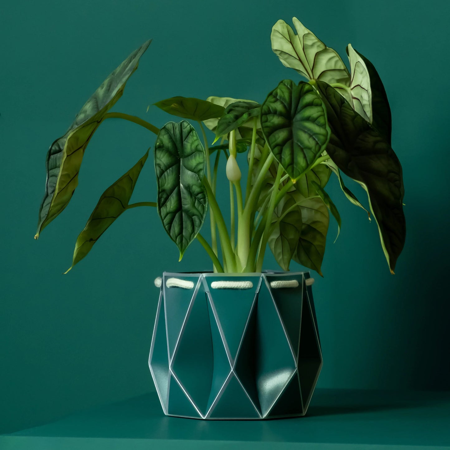 POTR Self-Watering 5.9" Diameter Pot In Dark Teal