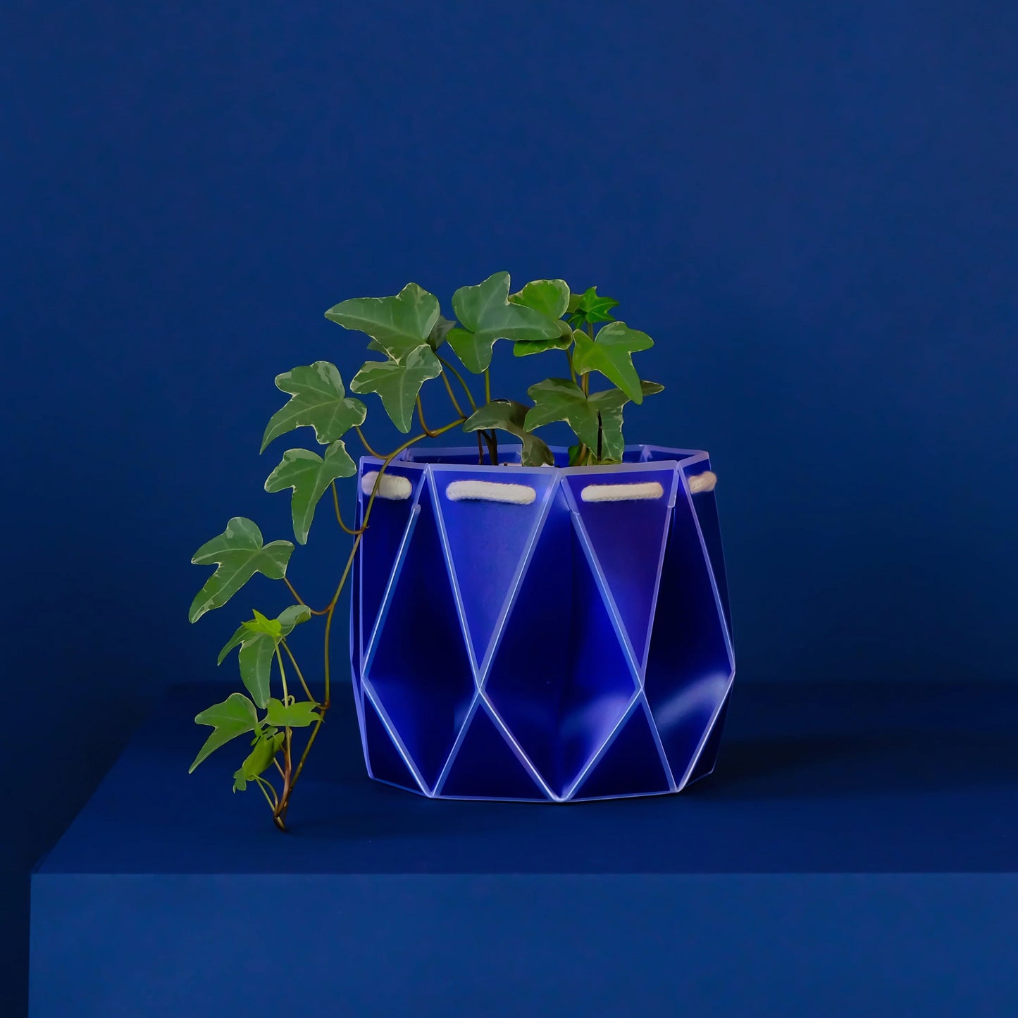 POTR Self-Watering 5.9" Diameter Pot In Navy Blue