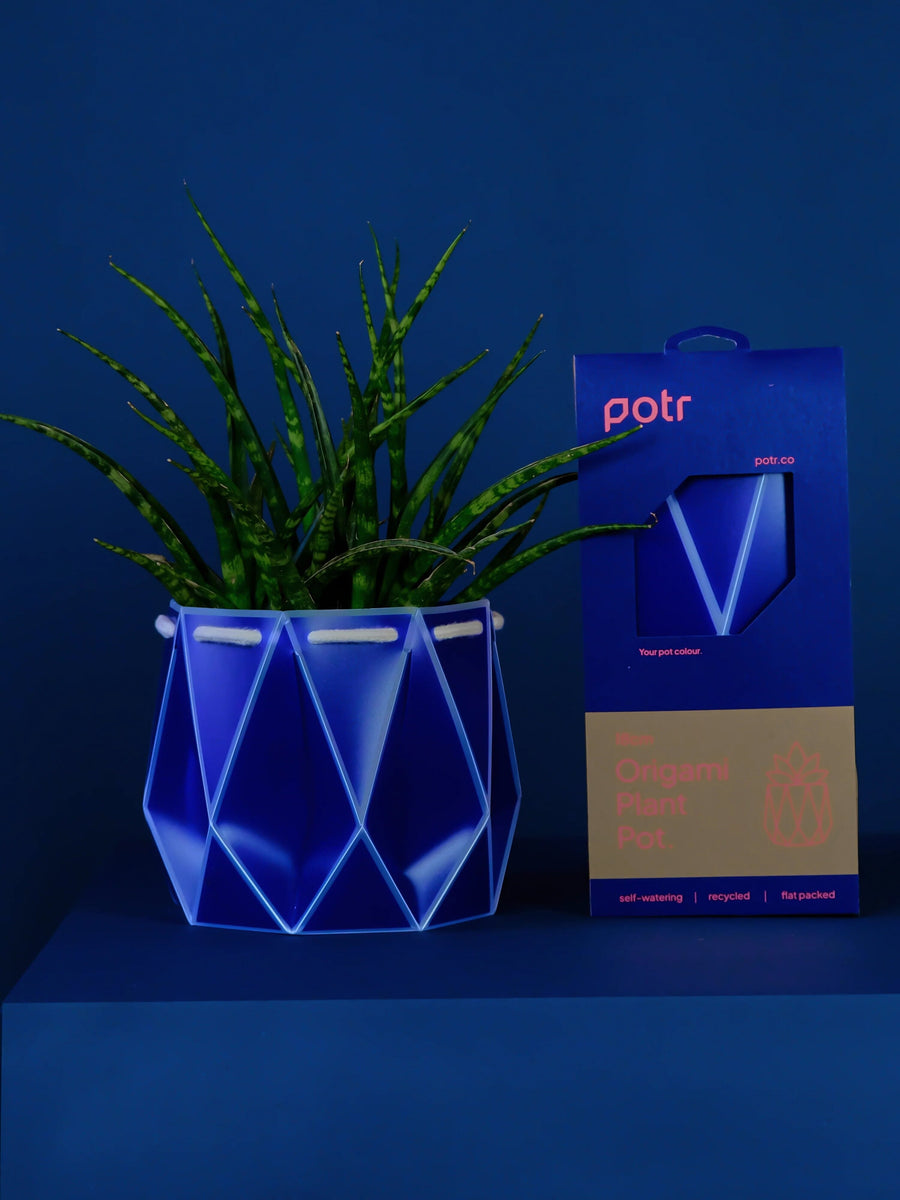 navy plant pot POTR Self-Watering 7" Diameter Pot In Navy Blue