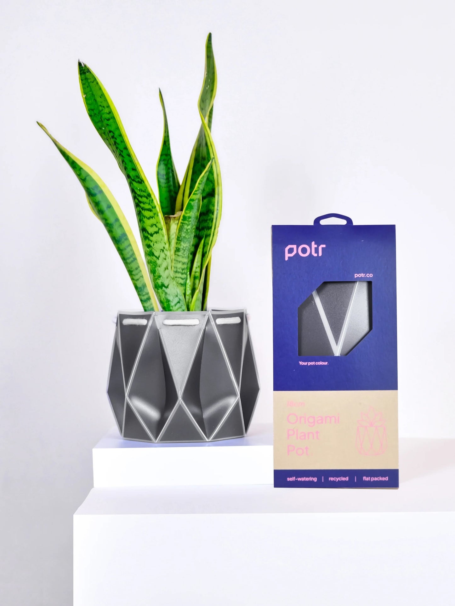 POTR Self-Watering 7" Diameter Pot In Slate Grey