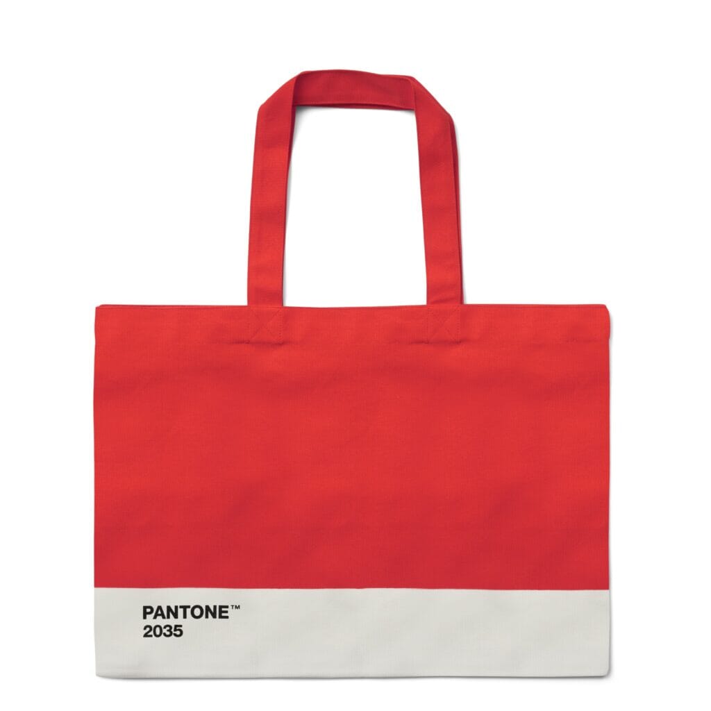 Pantone Beach Bag in Red 2035
