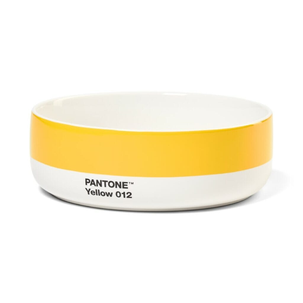 Pantone Bowl in Yellow 012