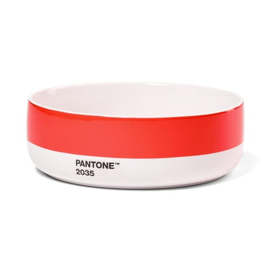 Pantone Bowl in Red 2035