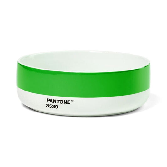 Pantone Bowl in Green 3539