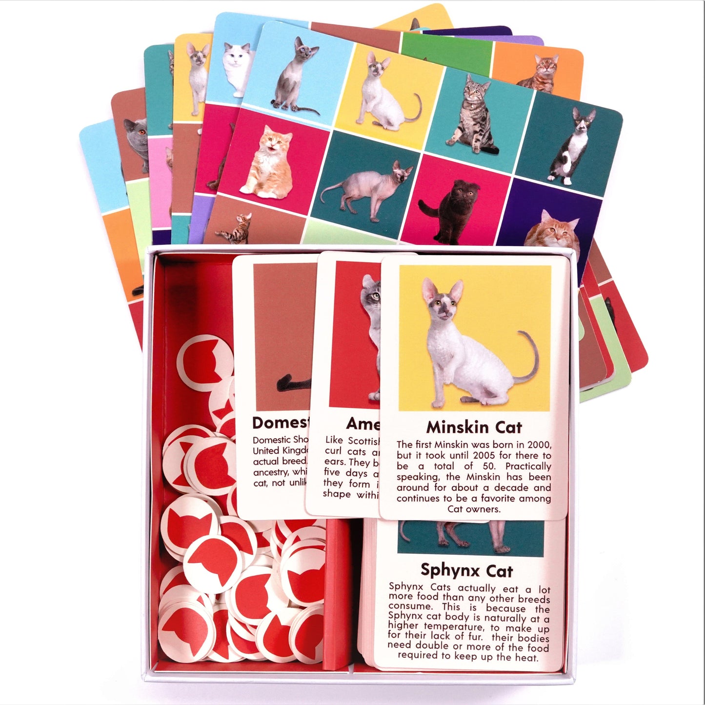 Kikkerland Bingo Pals: Dogs & Cats Edition