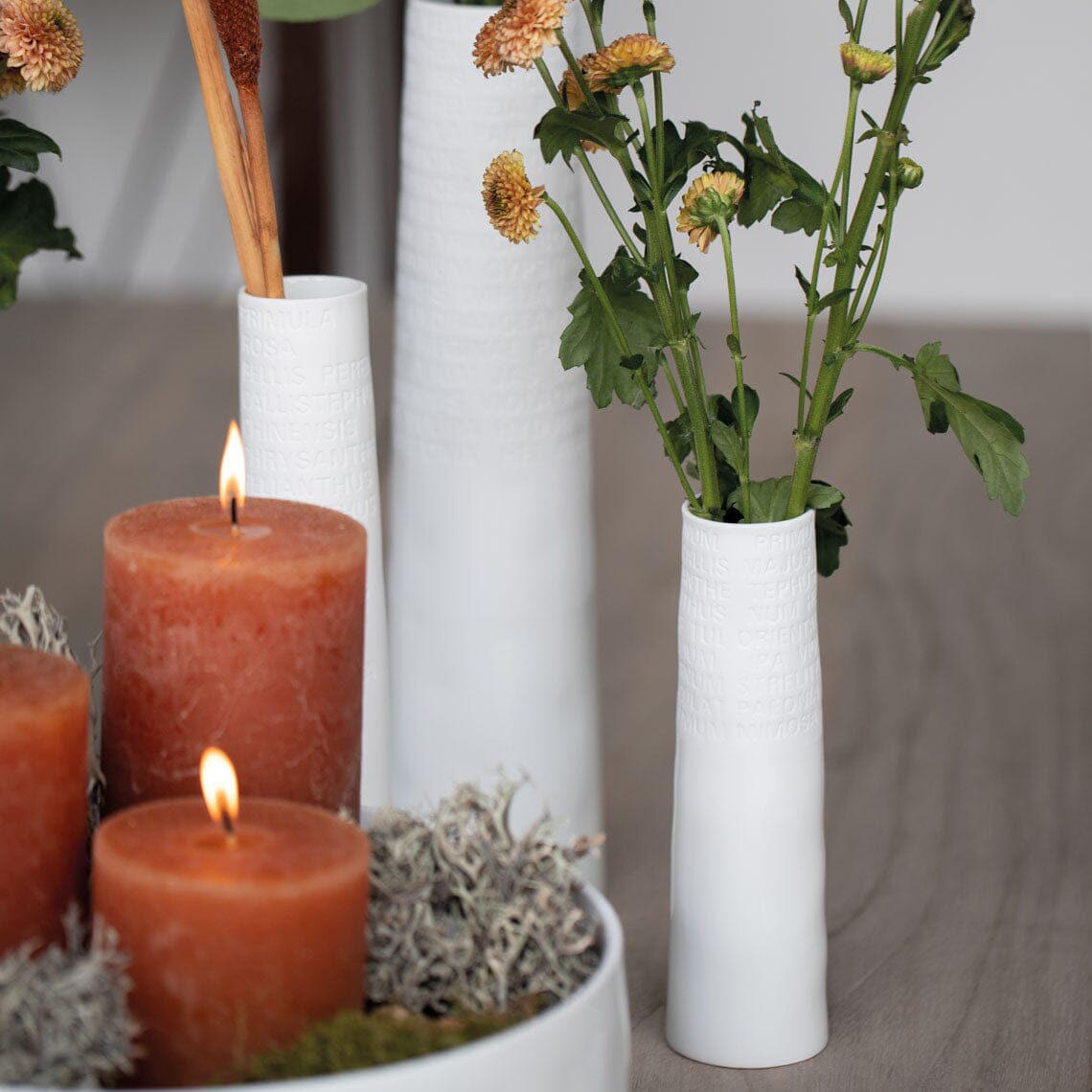 Rader Poetic Space Porcelain Vases With Embossed Flower Names Set of 3