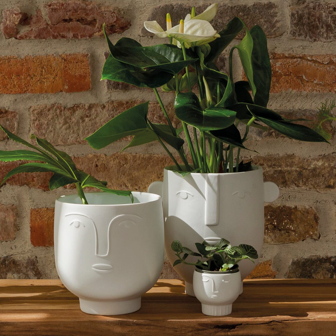 Rader Natural Forms Flower Pots & Tealight Holder Set