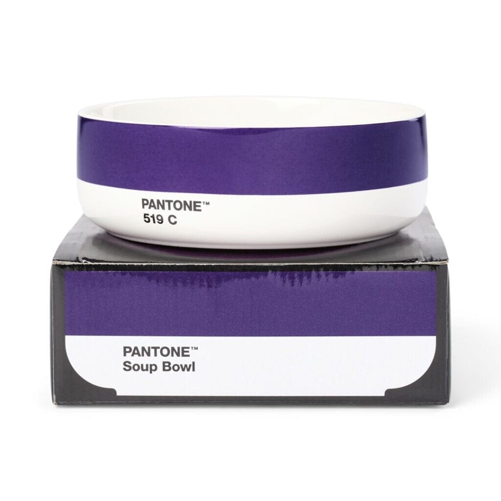 Pantone Bowl in Violet 519