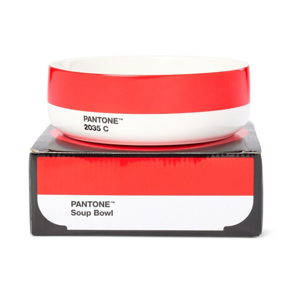 Pantone Bowl in Red 2035
