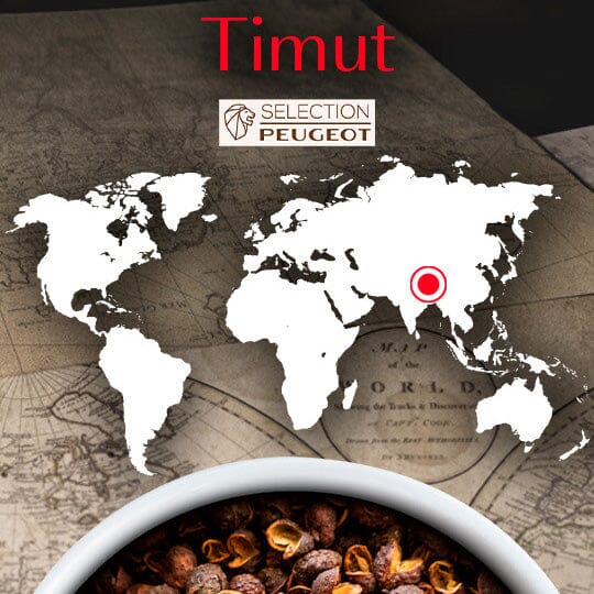 Peugeot Spices