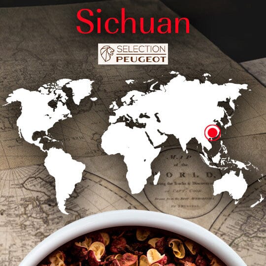 Peugeot Spices
