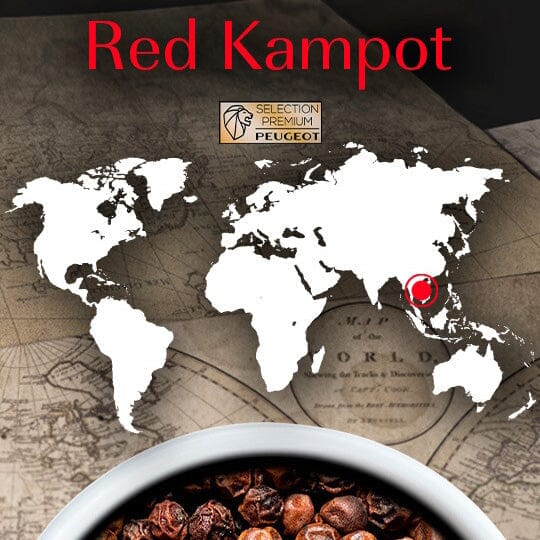 Peugeot Spices