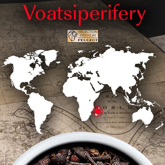 Peugeot Spices