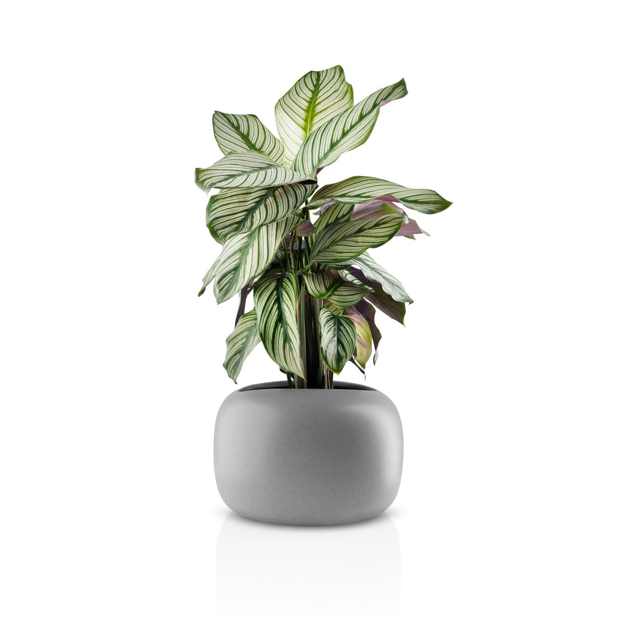 stones for indoor plant pots Eva Solo Stone Display Flower Pot