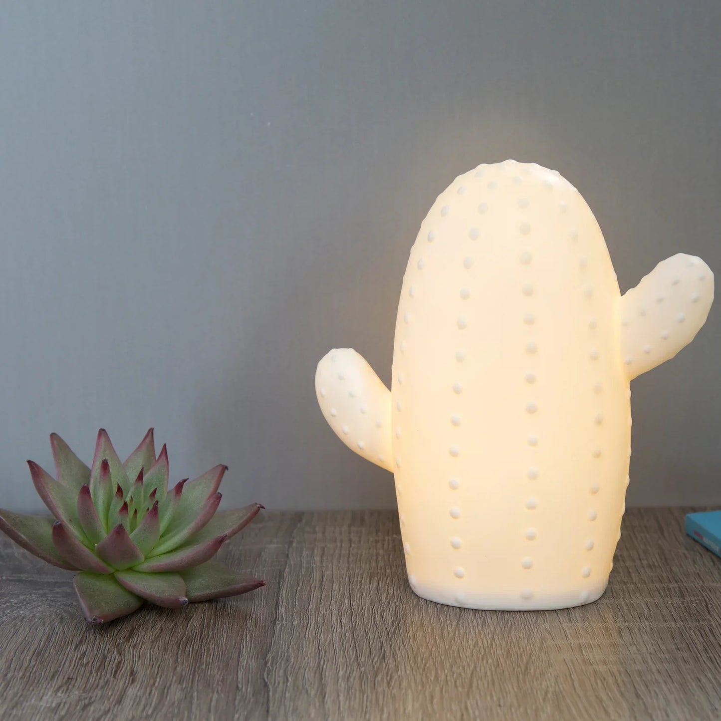 Kikkerland Porcelain Food Lights