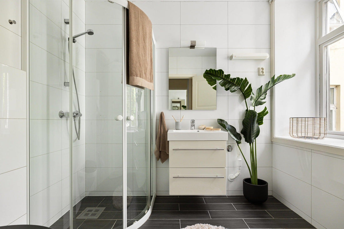 Simple bathroom upgrade with walk-in shower and plant decor