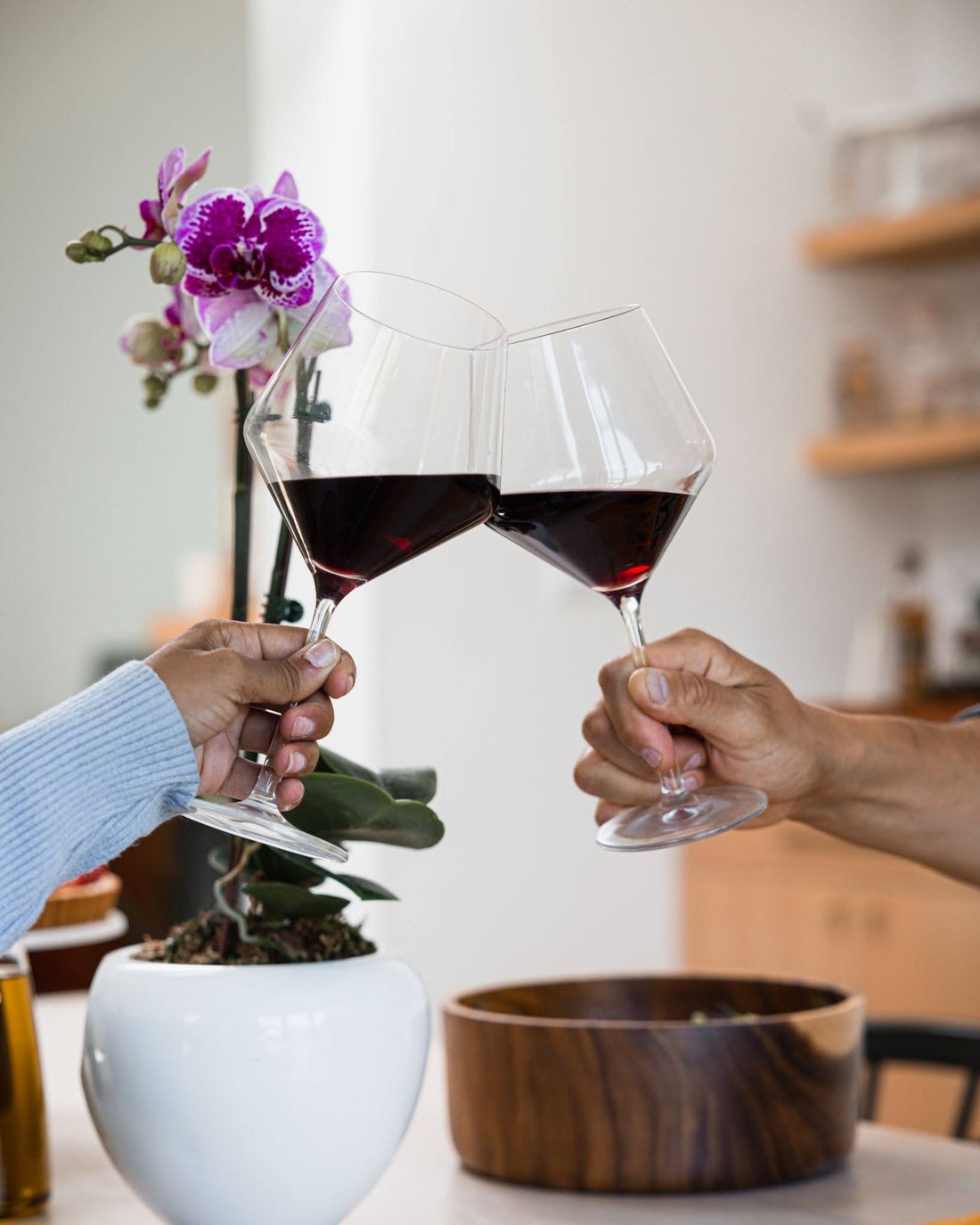 Hands of a couple making a toast with wine in front of a small plant and a bowl