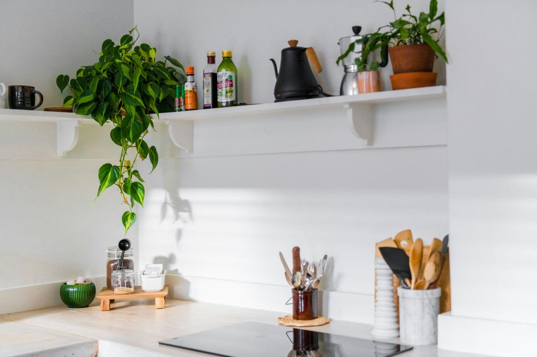 Kitchen shelves with plants and cooking utensils