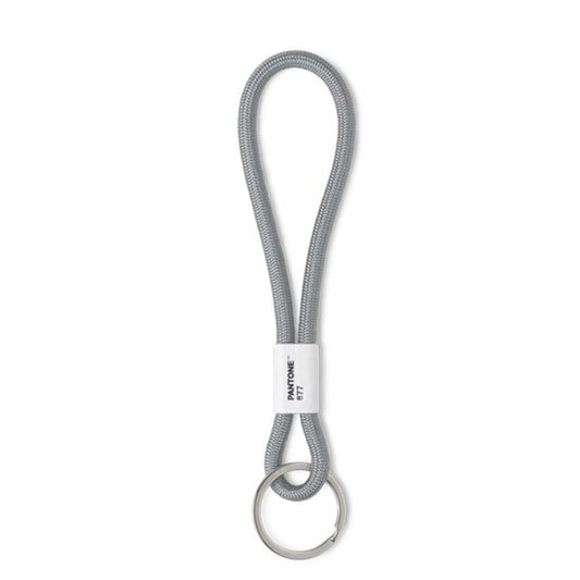 Pantone Short Keychain in Silver 877 C