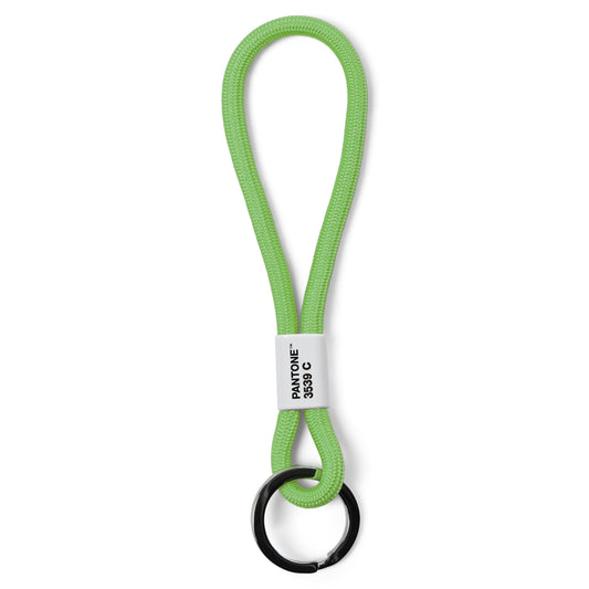 Pantone Short Keychain in Green 3539