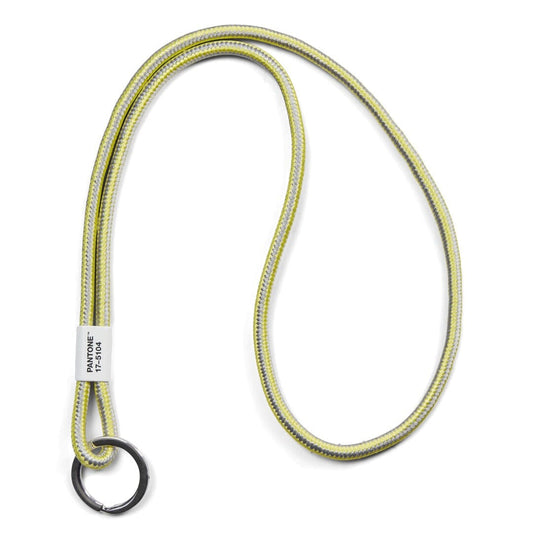 Pantone Long Keychain in 2021 Color of the Year 17-5104 Ultimate Gray & 13-0647 Illuminating