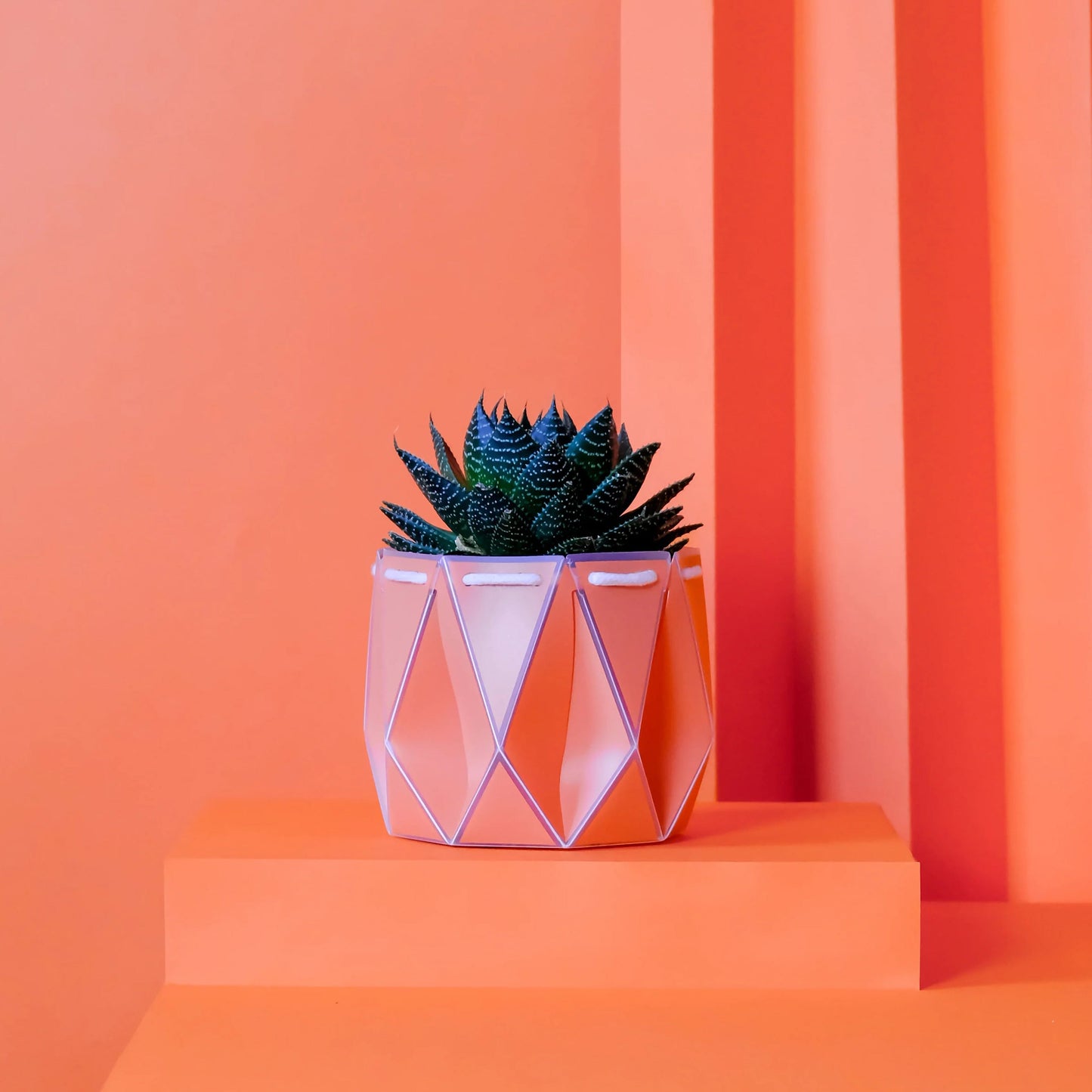 POTR Self-Watering 4.3" Diameter Pot In Coral Orange