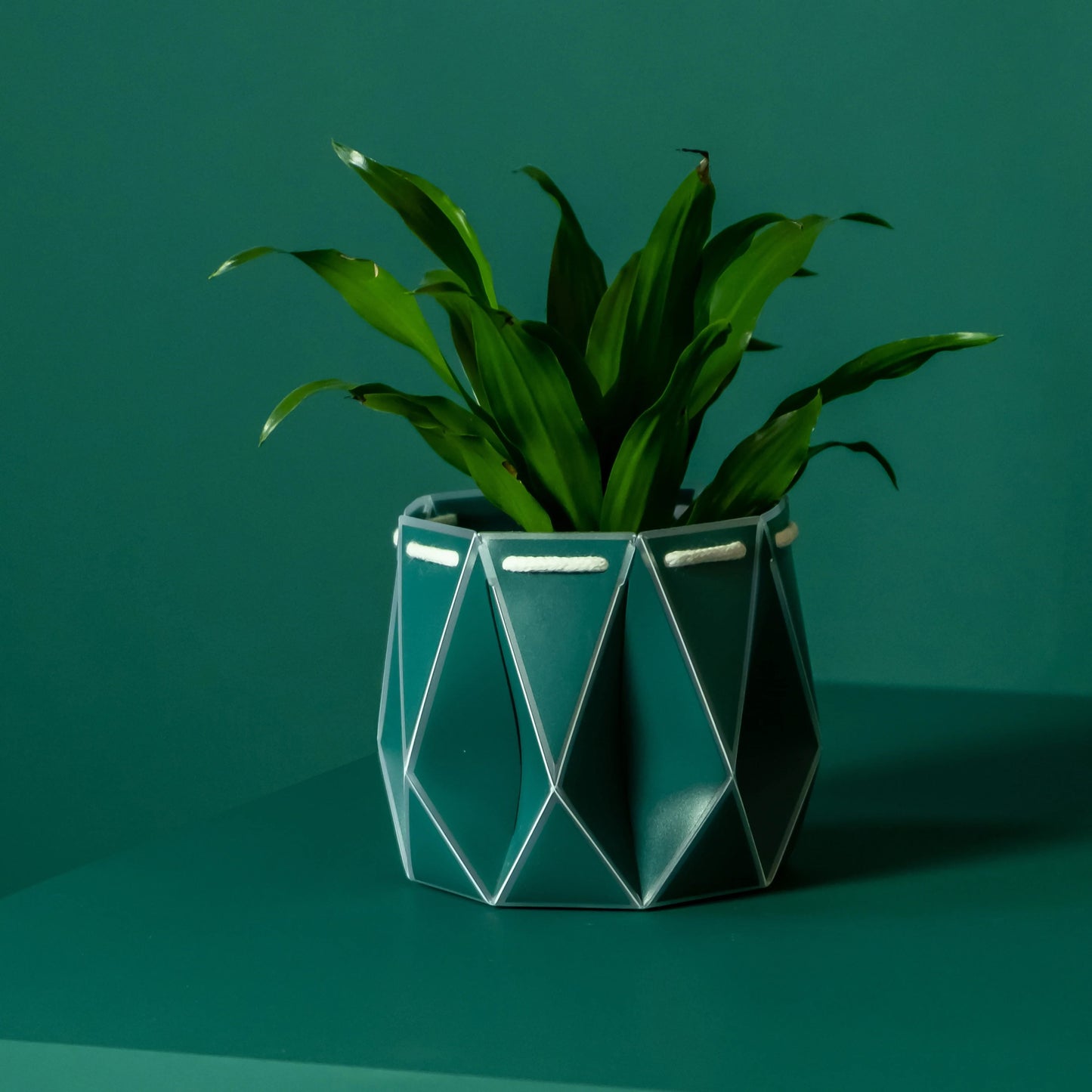 POTR Self-Watering 4.3" Diameter Pot In Dark Teal