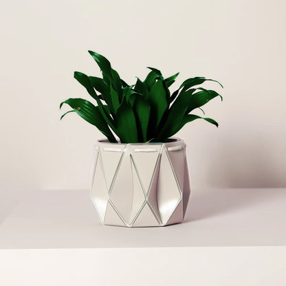 POTR Self-Watering 4.3" Diameter Pot
