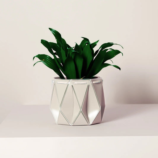 POTR Self-Watering 4.3" Diameter Pot