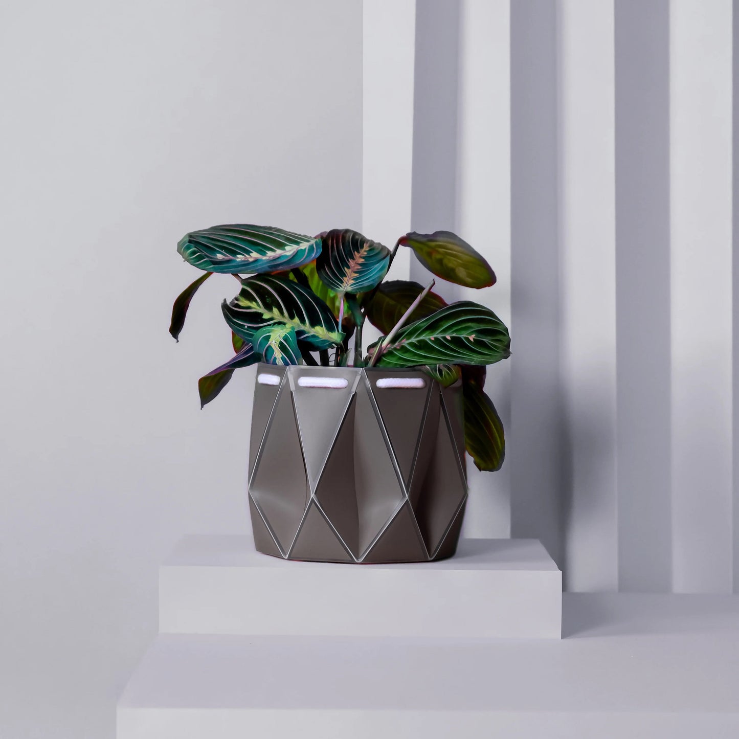 POTR Self-Watering 5.9" Diameter Pot