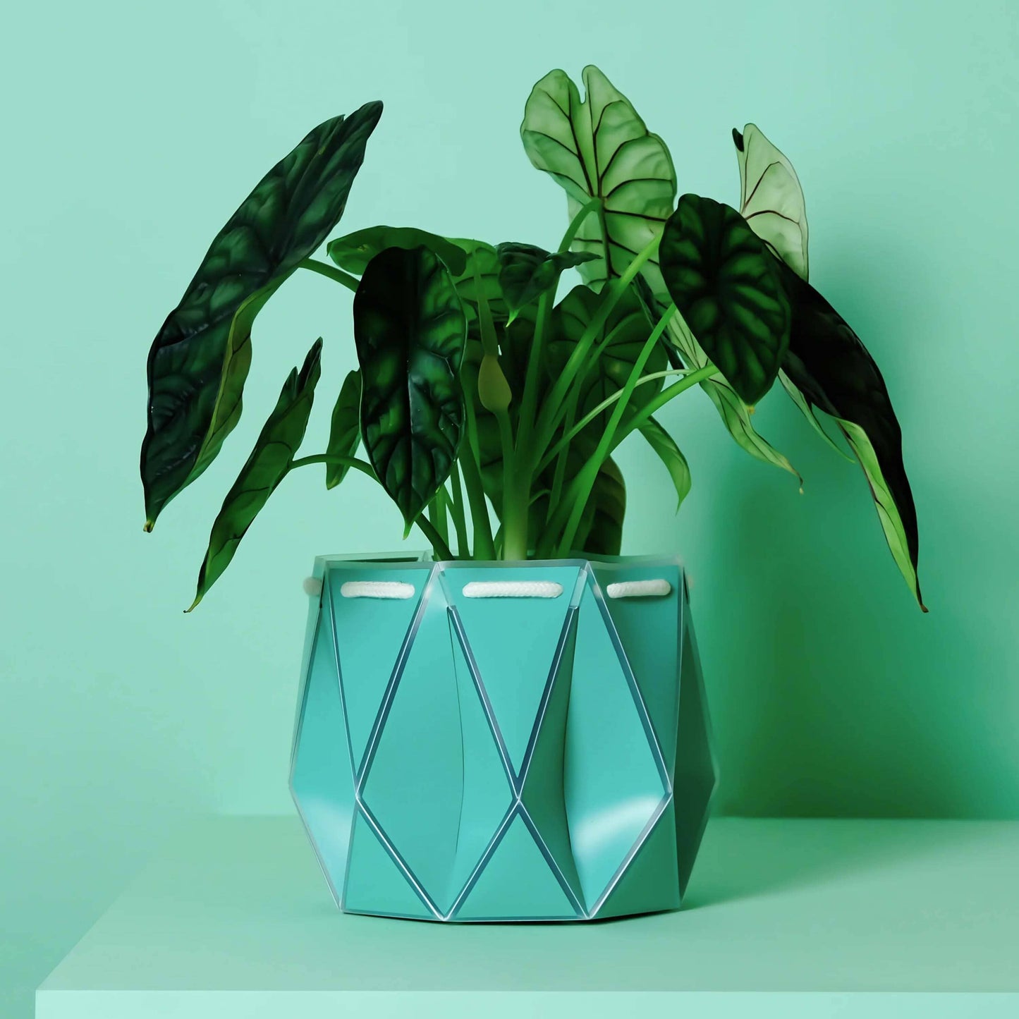 POTR Self-Watering 7" Diameter Pot In Aqua Blue