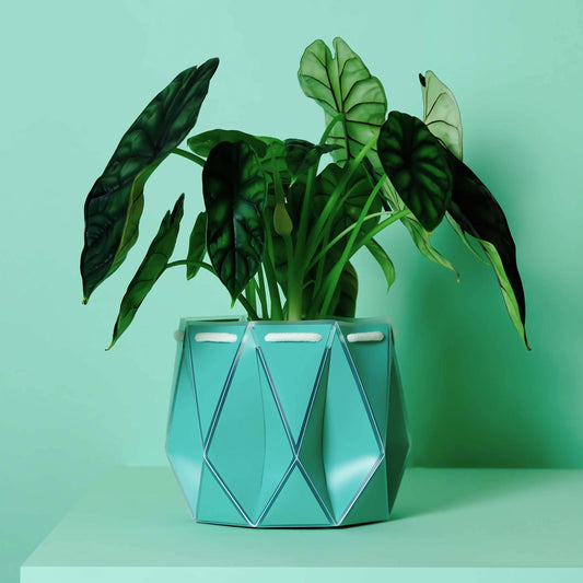 POTR Self-Watering 7" Diameter Pot In Aqua Blue