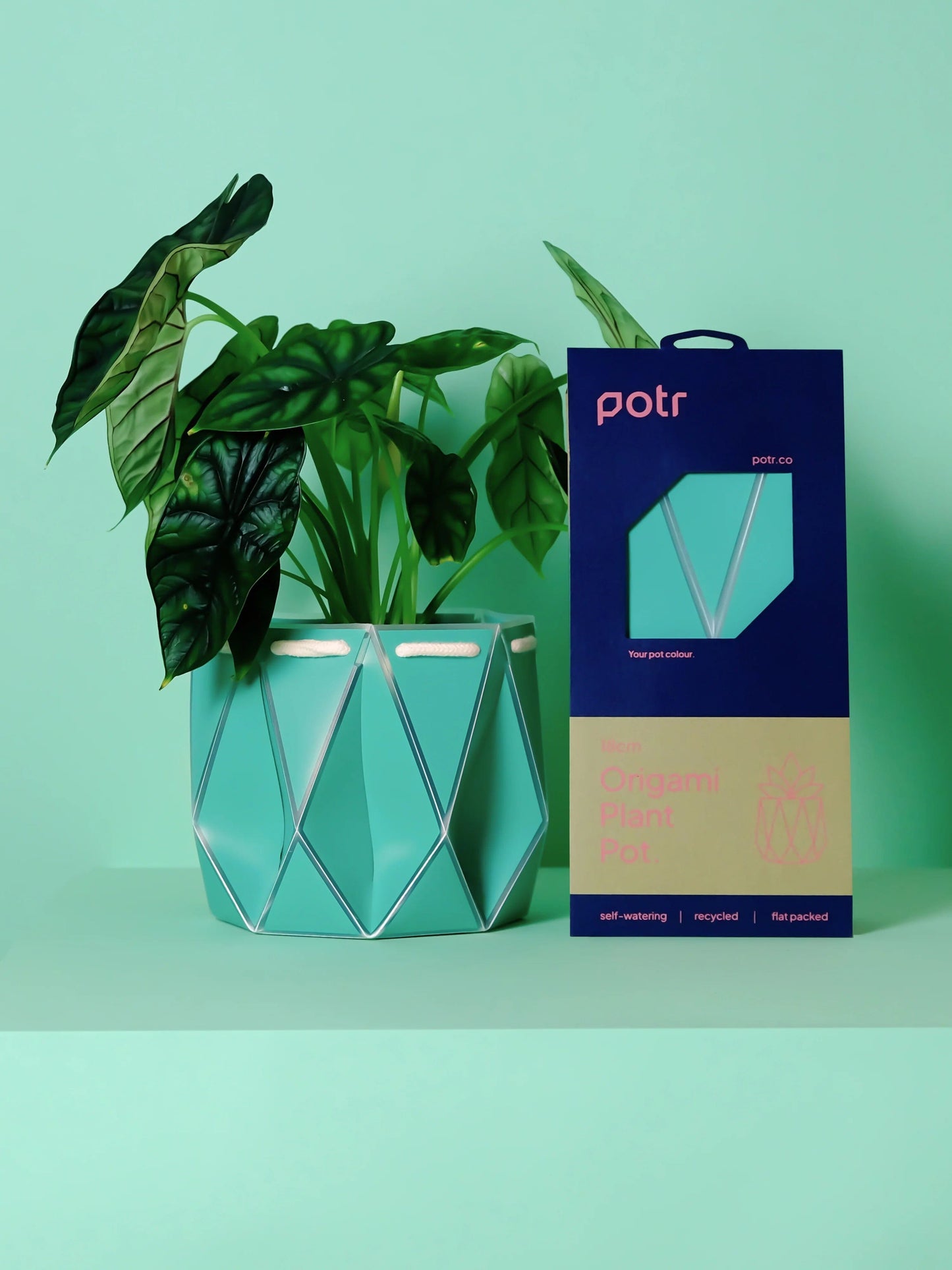 POTR Self-Watering 7" Diameter Pot In Aqua Blue