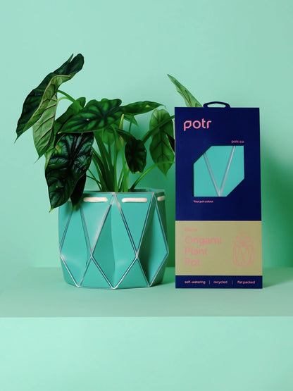 POTR Self-Watering 7" Diameter Pot In Aqua Blue