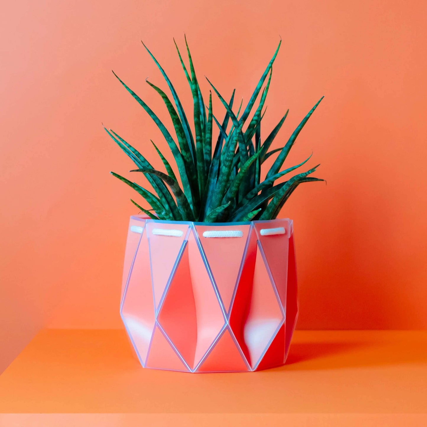 POTR Self-Watering 7" Diameter Pot In Coral Orange