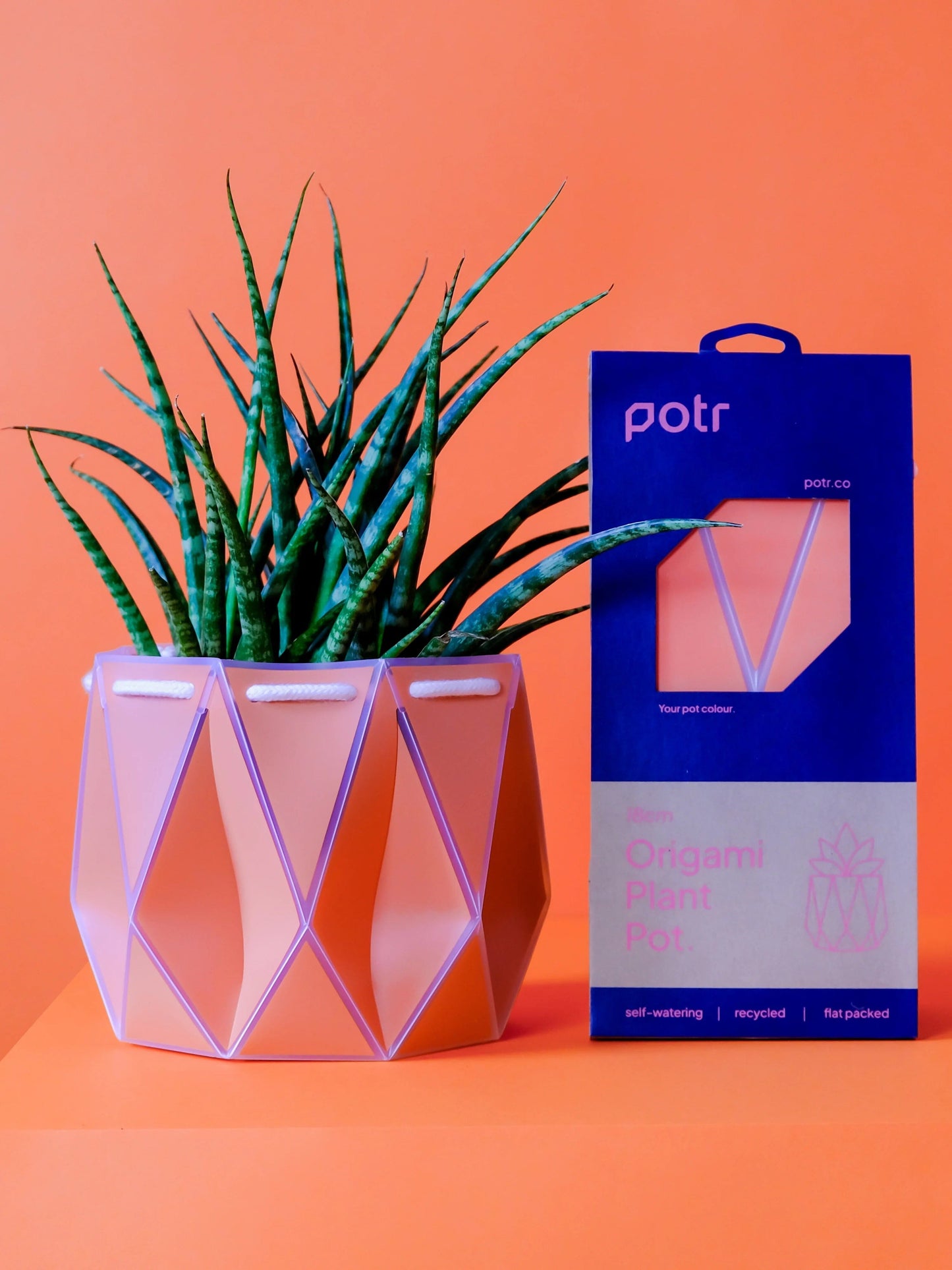 POTR Self-Watering 7" Diameter Pot