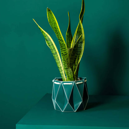 POTR Self-Watering 7" Diameter Pot In Dark Teal