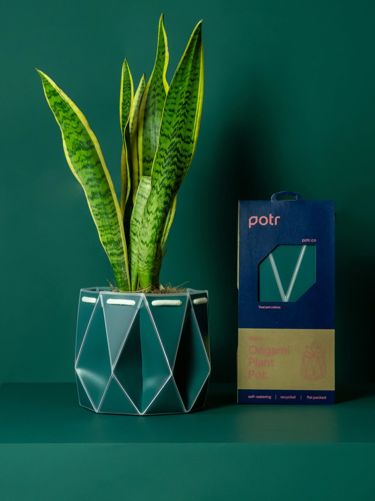 POTR Self-Watering 7" Diameter Pot