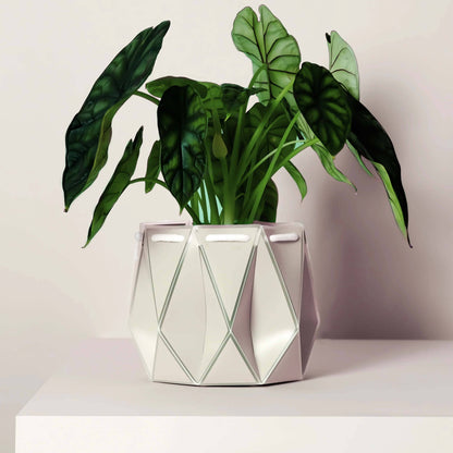 POTR Self-Watering 7" Diameter Pot