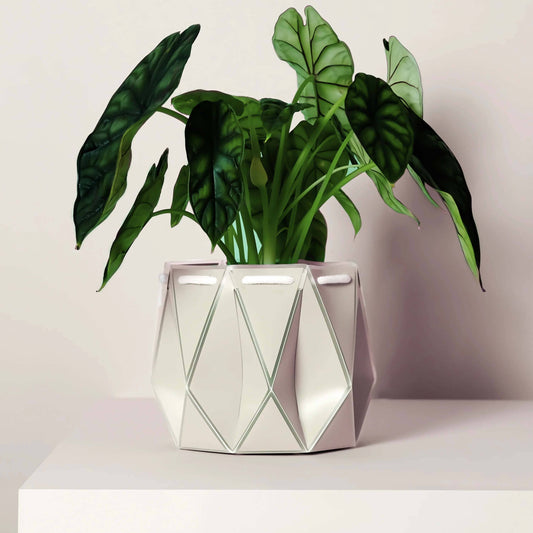 POTR Self-Watering 7" Diameter Pot