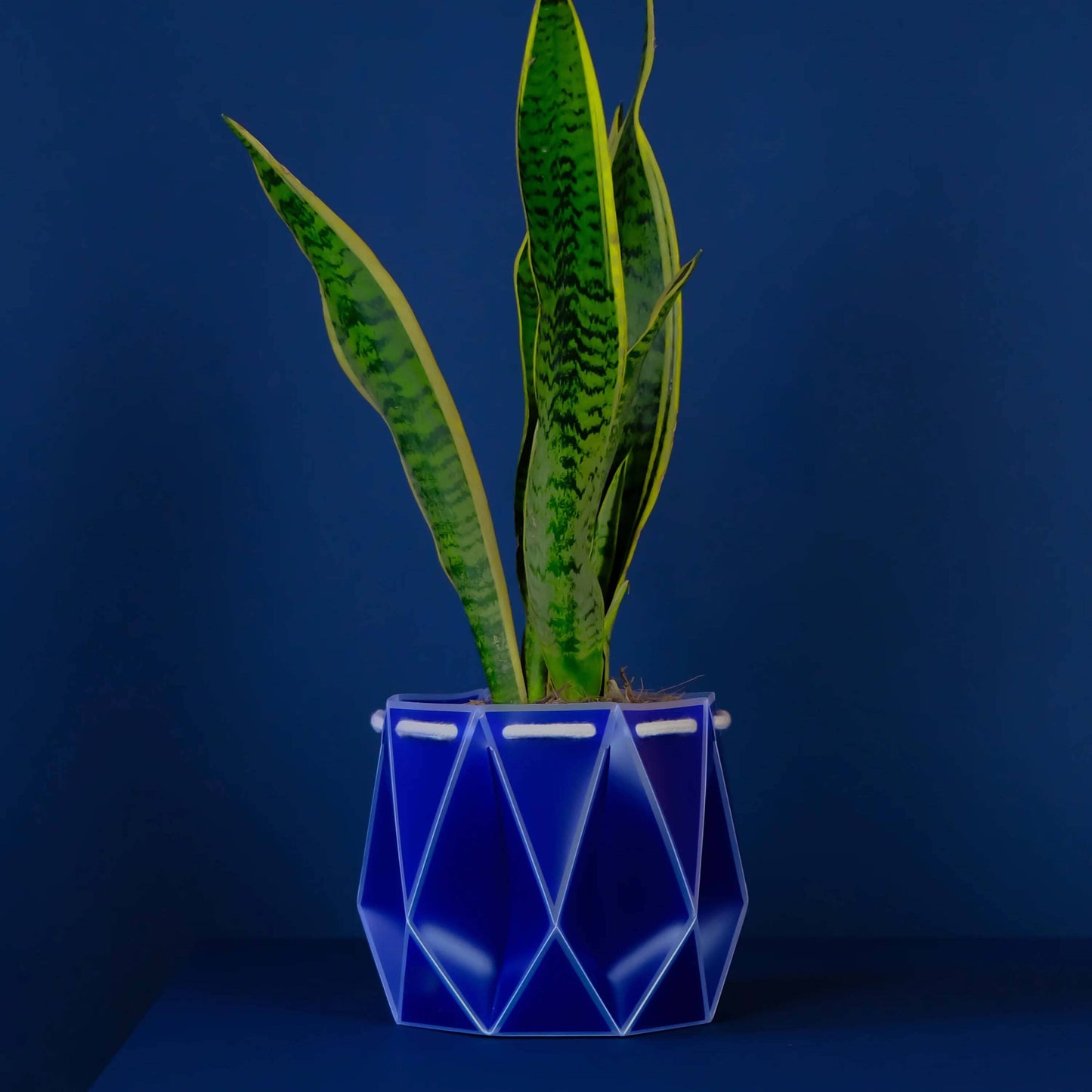 POTR Self-Watering 7" Diameter Pot In Navy Blue