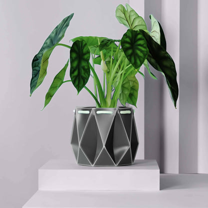 POTR Self-Watering 7" Diameter Pot