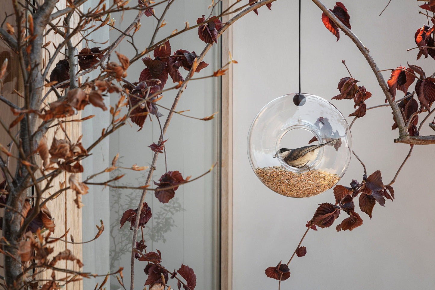 Eva Solo Globe Bird Feeder