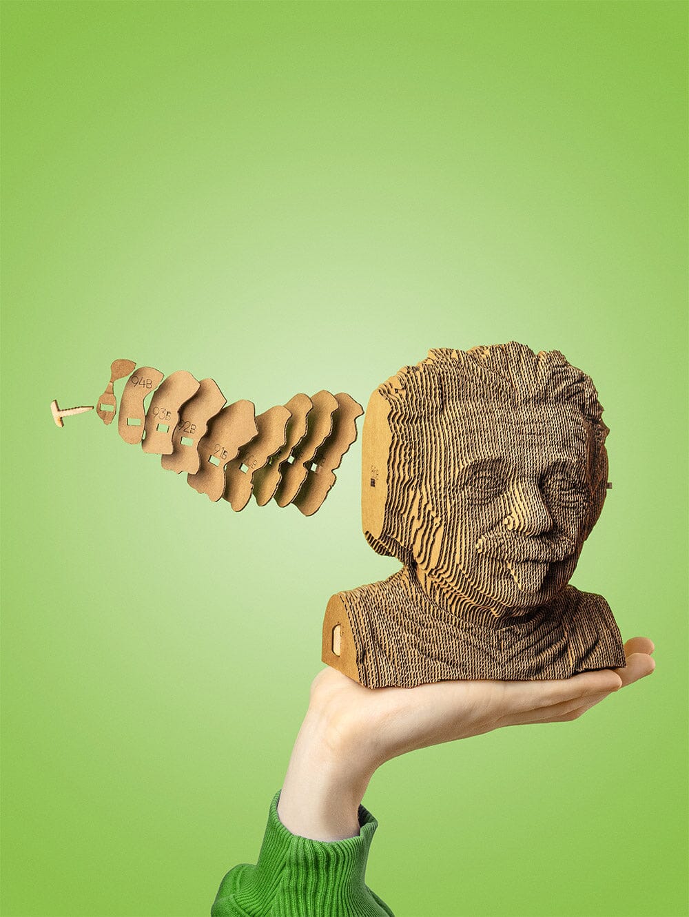 Cartonic Albert Einstein 3D Puzzle