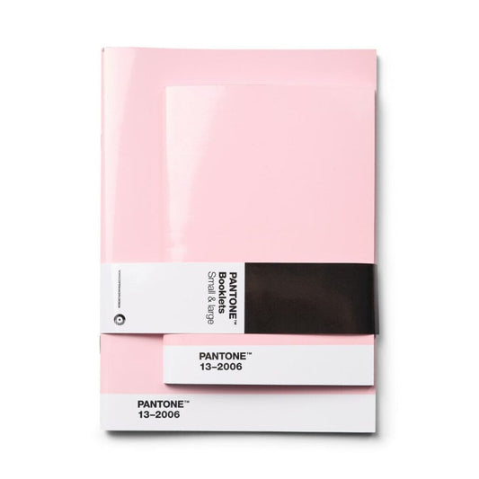 Pantone Booklets Set of 2 in Light Pink 13-2006